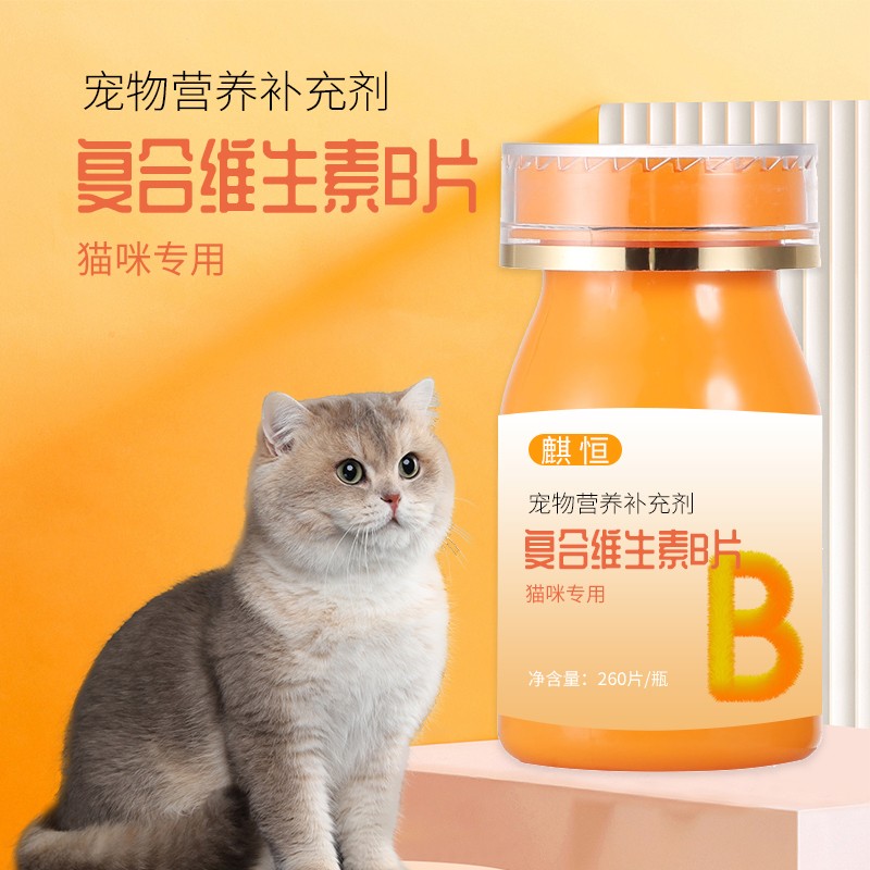 複合維生素B片龍物營養補充劑