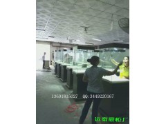 博物館展示五面櫃|木質烤漆獨立櫃|電動俯視櫃|深圳展櫃廠