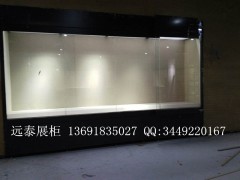 博物館通櫃|高質量玻璃櫃|展示文物櫃設計圖|廠家出(chū)3D效果圖