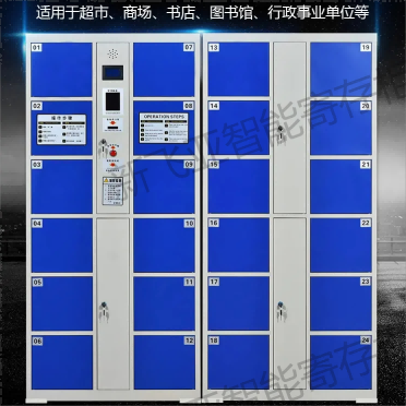 麗水學校智能存書櫃車站碼頭自助寄存箱商超會所智能保管櫃