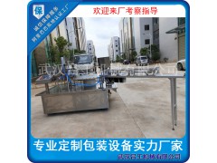 全自動洗衣液自立袋灌裝機 吸嘴自立袋裝洗衣液灌裝旋蓋機廠家