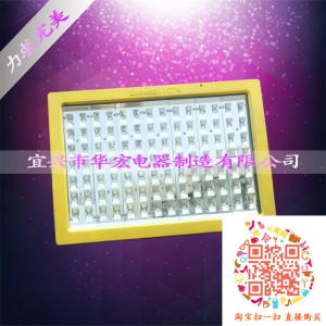 BAD808-L  LED防爆路燈