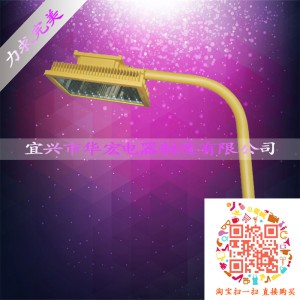 BAD808-L2 LED防爆路燈